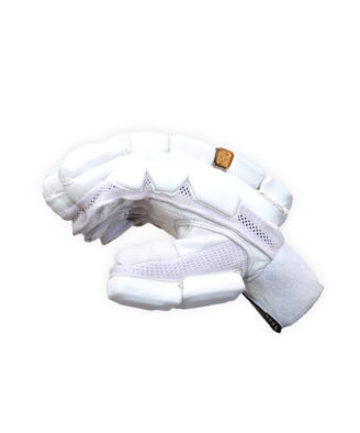 Cricket Batting Gloves – Superior Grip, Shock Absorption & Match-Ready Comfort